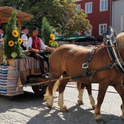 StazwebwagenIMG 9527